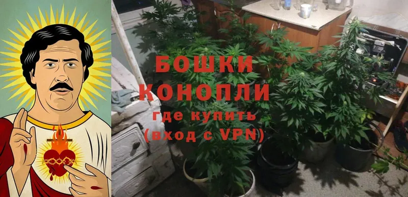 Бошки марихуана THC 21%  Нолинск 